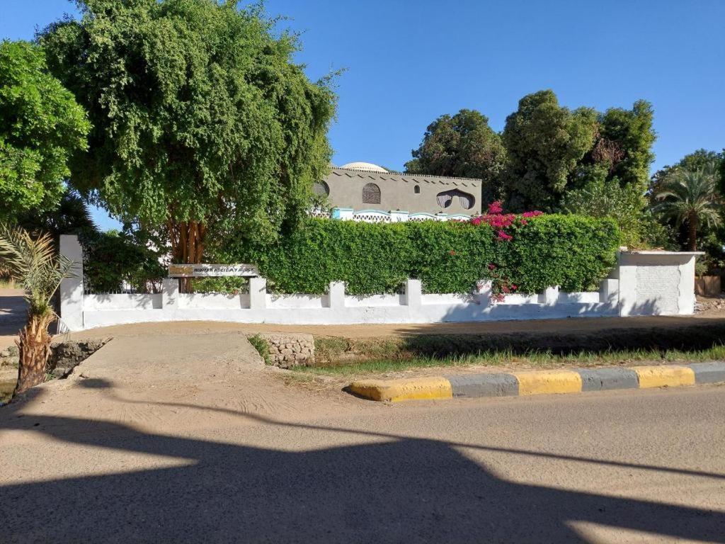 Nubian Holiday House Asuán Exteriér fotografie